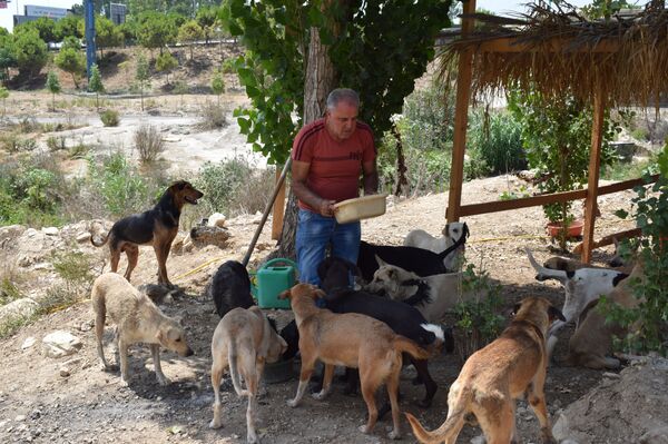 حمزة يطعم الكلاب - سبوتنيك عربي