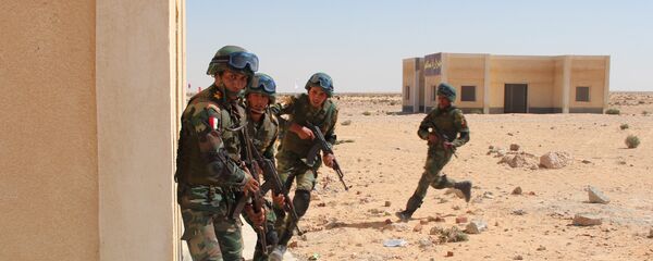 الجيش المصري - سبوتنيك عربي