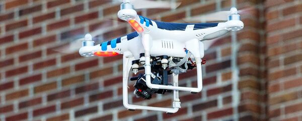 طائرة بدون طيار لتوصيل الوجبات السريعة في أيسلندا. - سبوتنيك عربي