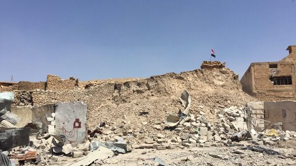 قلعة تلعفر الأثرية - سبوتنيك عربي