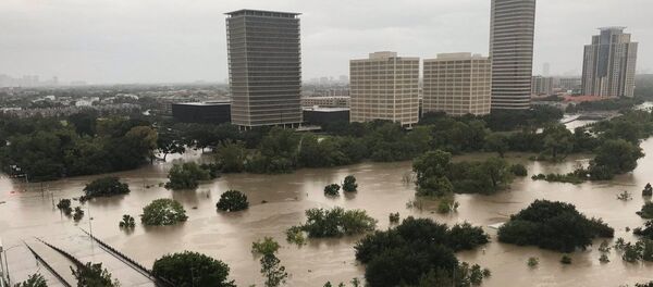 تداعيات إعصار هارفي في ولاية تكساس، الولايات المتحدة الأمريكية، 28 أغسطس/ آب 2017 - سبوتنيك عربي