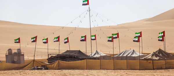 أعلام إماراتية في صحراء، دبي، الإمارات، الشرق الأوسط - سبوتنيك عربي