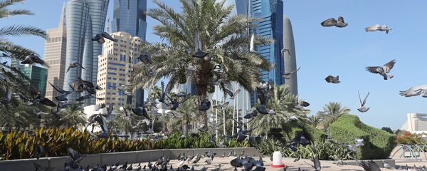 مدينة الدوحة، قطر - سبوتنيك عربي