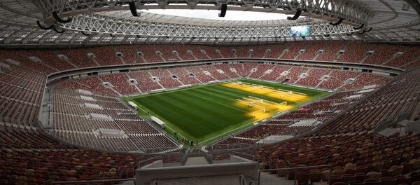 ملعب لوجنيكي - سبوتنيك عربي