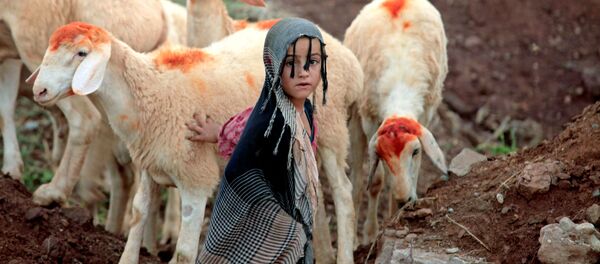 فتاة صغيرة تقف بالقرب من الخرفان معروضة للبيع، بمناسبة عيد الأضحى في إسلام آباد، باكستان 25 أغسطس/ آب 2017 - سبوتنيك عربي