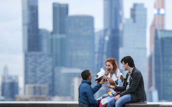 أشخاص يجلسون على خلفية المركز التجاري موسكو سيتي. أشخاص يجلسون على خلفية المركز التجاري موسكو سيتي. - سبوتنيك عربي