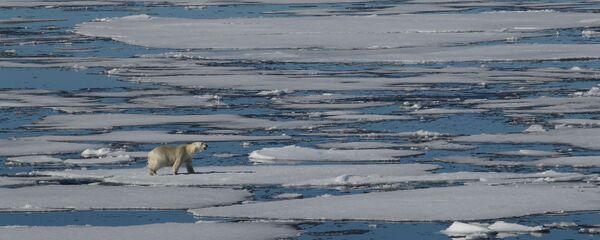 هكذا تبدو أيدي البطل الأولمبي الذي غزا المحيط المتجمد الشمالي - سبوتنيك عربي