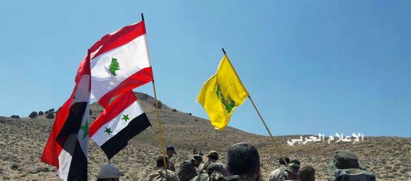 قوات المقاومة حزب الله ترفع أعلام لبنان وسوريا في منطقة القلمون، سوريا 28 أغسطس/ آب 2017 - سبوتنيك عربي