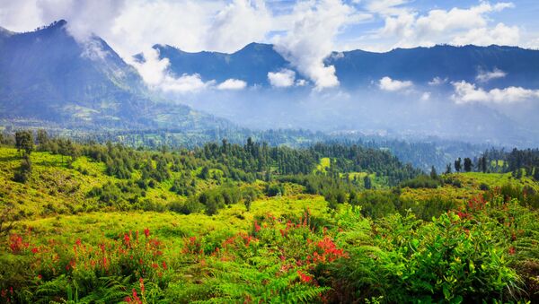 الحديقة الوطنية تينغر سيميرو على جزيرة يافا، إندونيسيا - سبوتنيك عربي