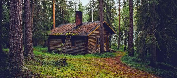 منزل في غابة بفنلندا منزل في غابة بفنلندا - سبوتنيك عربي