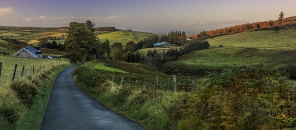 أيرلندا - سبوتنيك عربي