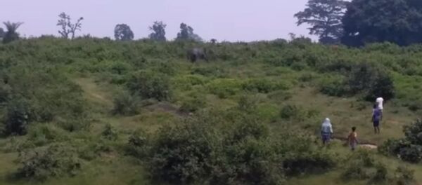 فيل غاضب يدوس رجلا أثناء التقاطه صورة السيلفي - سبوتنيك عربي