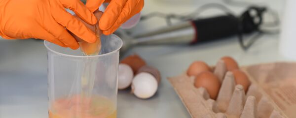 البيض الملوث يغزو 40 بلداً حول العالم  - سبوتنيك عربي