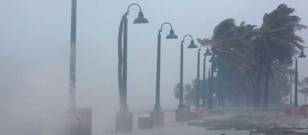 إعصار إيرما في بورتو ريكو، 6  سبتمبر/ أيلول 2017 - سبوتنيك عربي