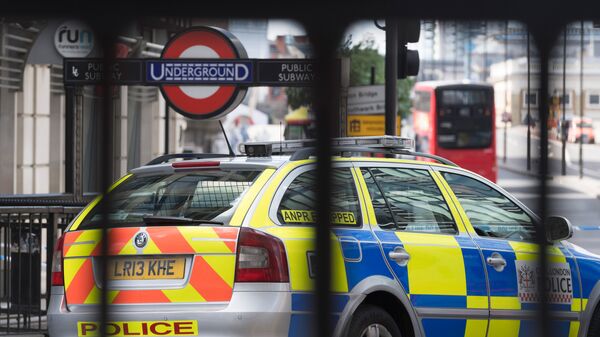 الشرطة في لندن - سبوتنيك عربي