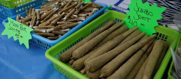 بيع الماريغوانا - سبوتنيك عربي