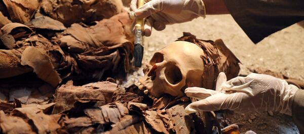 مومياء صانع الذهب الفرعوني مومياء صانع الذهب الفرعوني - سبوتنيك عربي