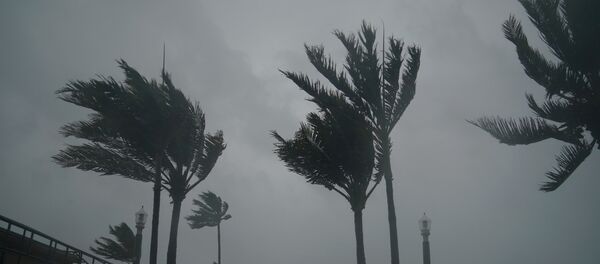 إعصار إرما - سبوتنيك عربي