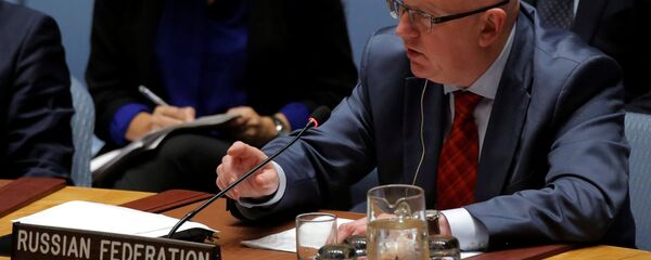ممثل روسيا الدائم لدى الأمم المتحدة فاسيلى نيبنزيا - سبوتنيك عربي