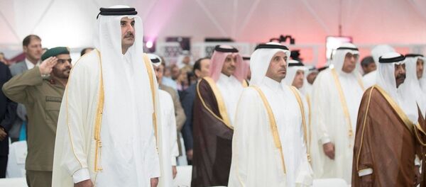 أمير قطر أمير قطر - سبوتنيك عربي