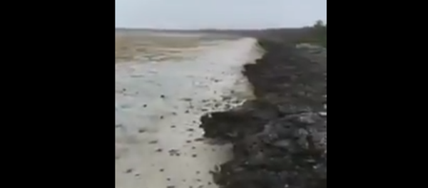 جزر الباهاماس - سبوتنيك عربي