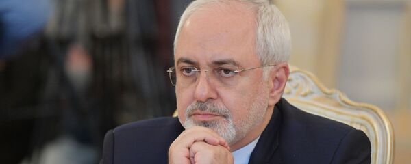 وزير الخارجية الإيراني محمد جواد ظريف - سبوتنيك عربي