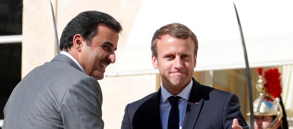 ماكرون وتميم - سبوتنيك عربي