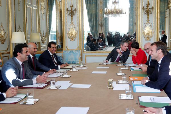 مباحثات تميم في قصر الإيليزيه - سبوتنيك عربي