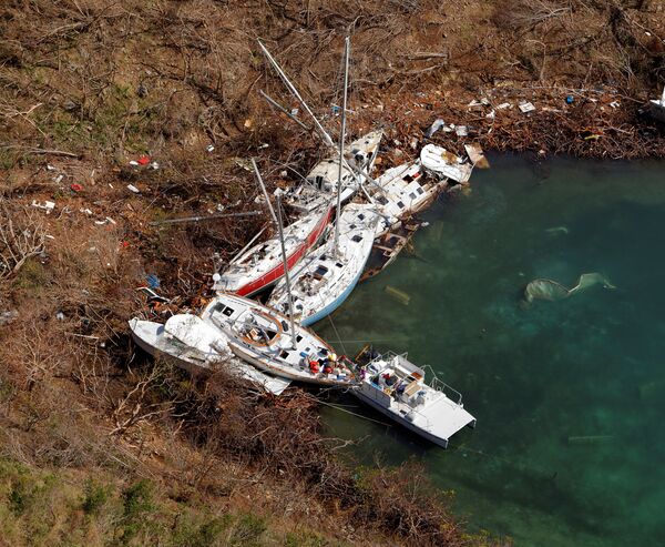 خسائر بالملايين - سبوتنيك عربي