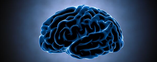 الدماغ - سبوتنيك عربي