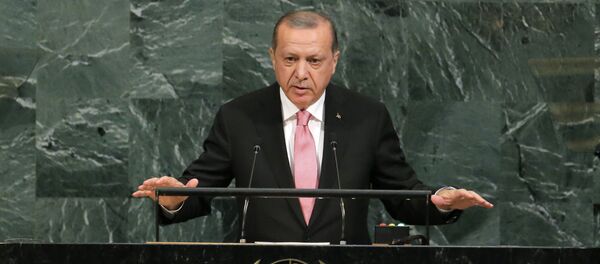 الرئيس التركي رجب طيب أردوغان - سبوتنيك عربي