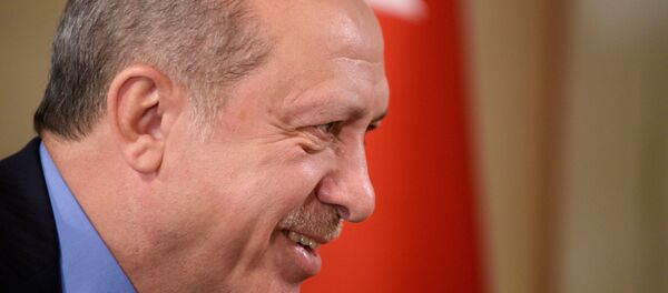 أردوغان - سبوتنيك عربي