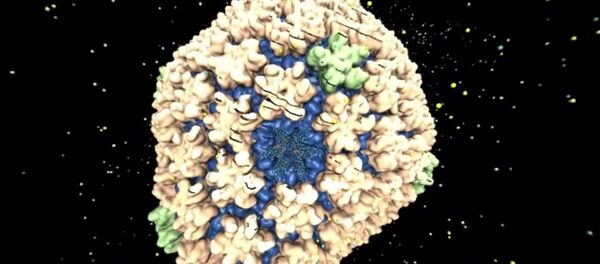 تفاعل فيروس نقص المناعة مع المحيط - سبوتنيك عربي