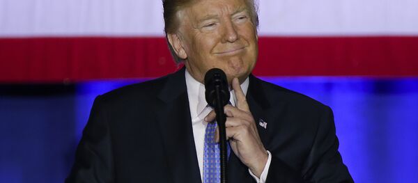 رئيس الولايات المتحدة دونالد ترامب - سبوتنيك عربي