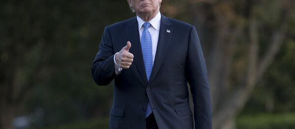 رئيس الولايات المتحدة دونالد ترامب - سبوتنيك عربي