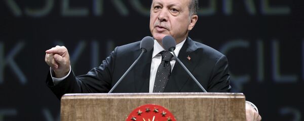 رئيس تركيا رجب طيب أردوغان - سبوتنيك عربي