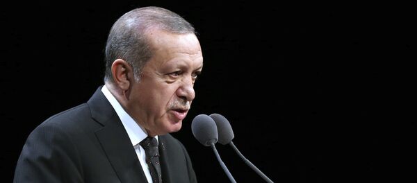 رئيس تركيا رجب طيب أردوغان - سبوتنيك عربي