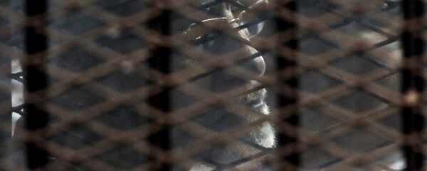 محمد بديع - سبوتنيك عربي