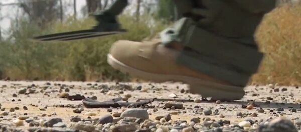 إزالة الألغام في دير الزور، سوريا - سبوتنيك عربي