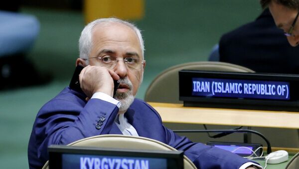 وزير خارجية إيران محمد جواد ظريف - سبوتنيك عربي