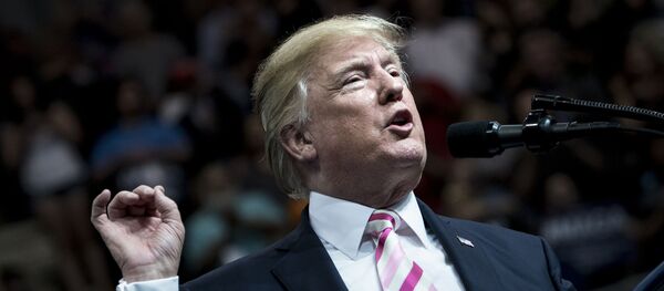 الرئيس الأمريكي دونالد ترامب - سبوتنيك عربي