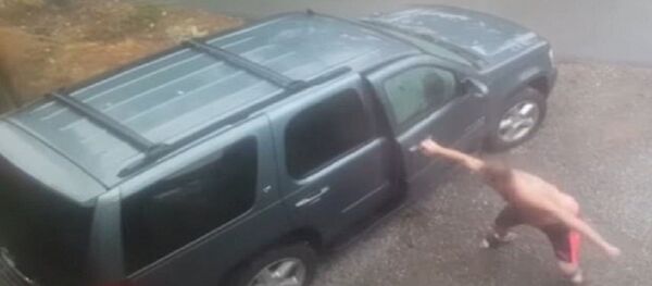 رجل عثر على دبين وأسد داخل سيارته - سبوتنيك عربي