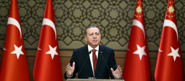 رجب طيب أردوغان - سبوتنيك عربي