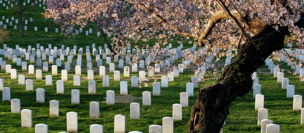 مقبرة - سبوتنيك عربي