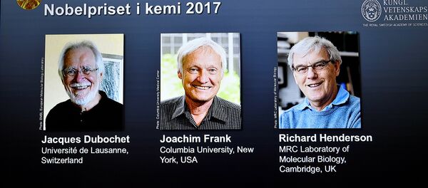 العلماء الثلاثة الحاصلين على جائزة نوبل في الكيمياء - سبوتنيك عربي