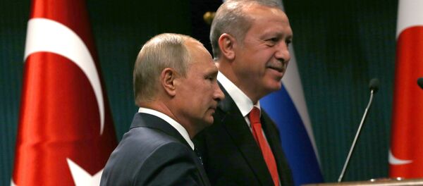 الرئيس الروسي فلاديمير بوتين - سبوتنيك عربي