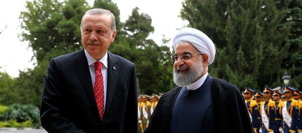 حسن روحاني ورجب طيب أردوغان - سبوتنيك عربي