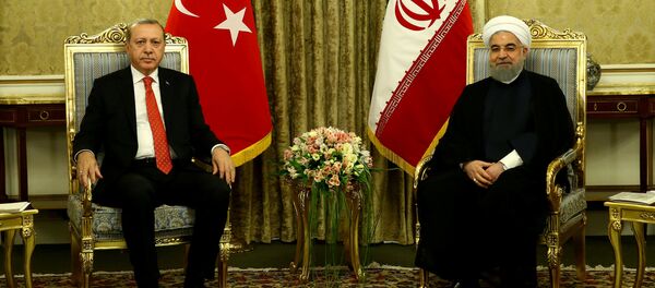 الرئيس الإيراني حسن روحاني ورئيس تركيا رجب طيب أردوغان الرئيس الإيراني حسن روحاني ورئيس تركيا رجب طيب أردوغان - سبوتنيك عربي