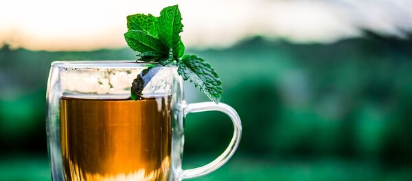 كأس من الشاي مع النعنع - سبوتنيك عربي