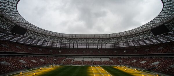 تفقد جاهزية ملعب لوجنيكي في موسكو لبطولة كأس العالم لكرة القدم-2018 - سبوتنيك عربي